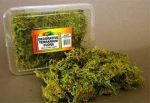 Nature Zone Terrarium Flora - Sheet Moss Cheap