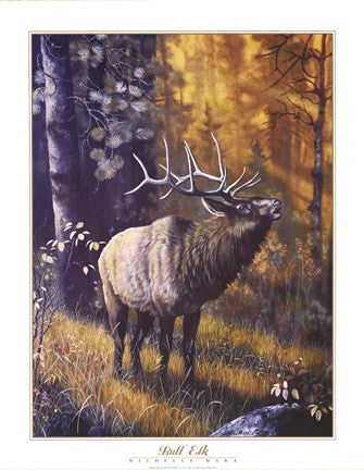 Bull Elk on Sale