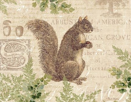 Woodland Trail III (Squirrel) Online Hot Sale