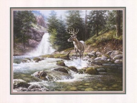 Bucks Near Waterfall Supply