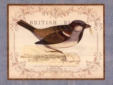 British Birds III For Sale