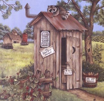 Outhouse - Raccoon Online Hot Sale