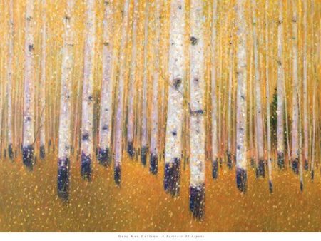 A Portrait Of Aspens For Sale