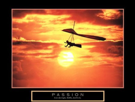 Passion - Hang Glider For Sale