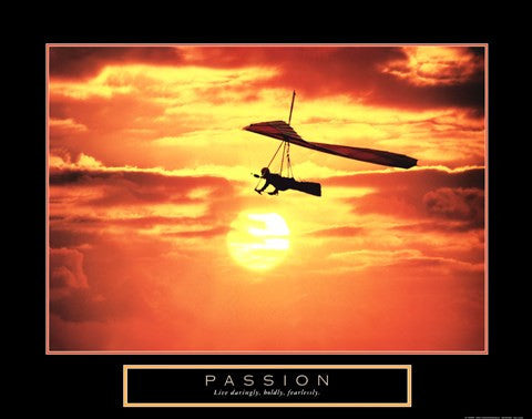 Passion - Hang Glider For Sale