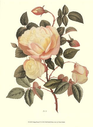 Vintage Roses IV Cheap