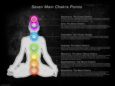 Seven Main Chakra Points For Discount