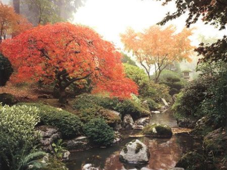 Japanese Garden I For Sale