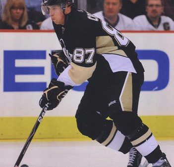 Sidney Crosby 2009-10 Action Online Hot Sale