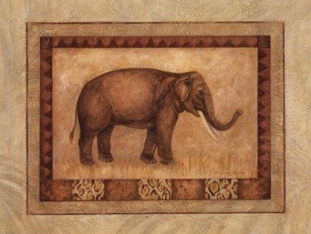 Asian Elephant Fashion