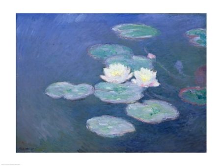 Waterlilies, Evening Hot on Sale