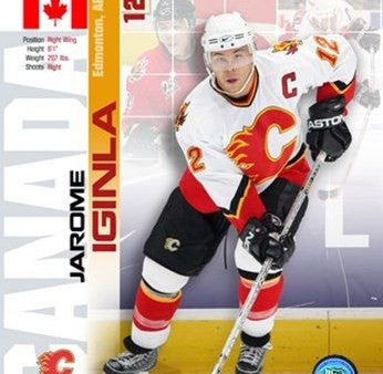 05 -  06 Jarome Iginla - Ice Breakers Composite Online now