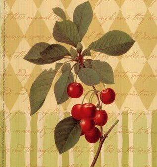 Botanical Cherries Online Sale