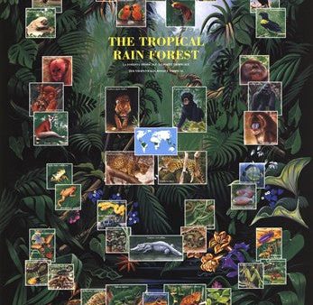 Tropical Rain Forest movie poster Online Sale