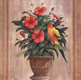 Hibiscus with Parrot Fashion