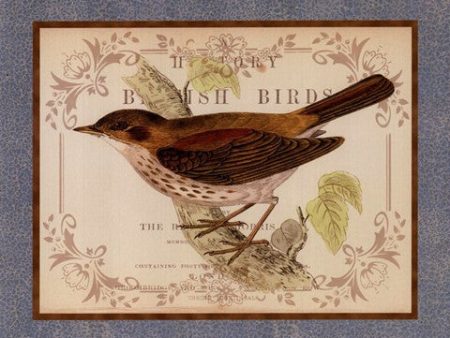 British Birds II Hot on Sale