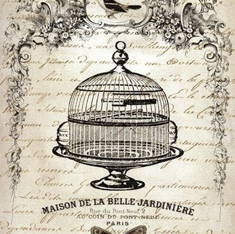 French Birdcage I Fashion