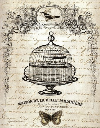 French Birdcage I Fashion