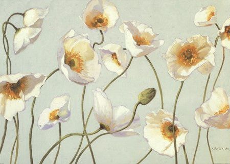 White And Bright Poppies For Cheap