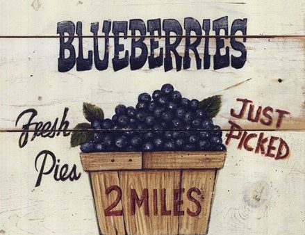 Blueberries Just Picked Supply