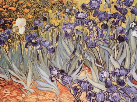 Irises in the Garden, Saint-Remy, c.1889 Online Sale