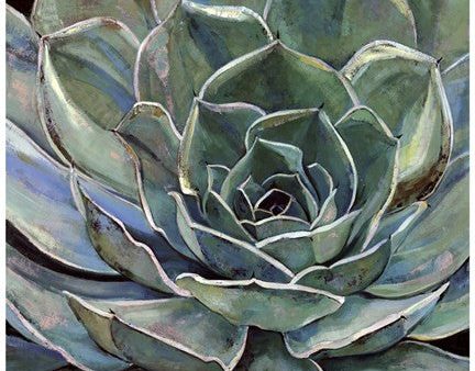 Agave Flower Cheap