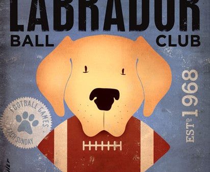 Labrador Ball Club Cheap