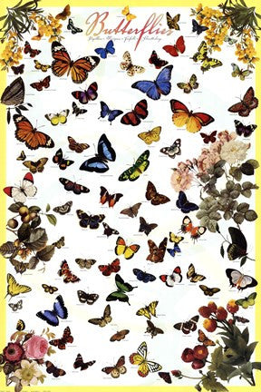 Butterflies flying Discount