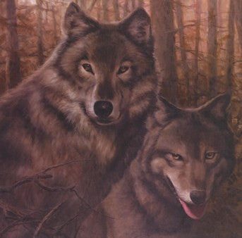 Wolves Pair Hot on Sale