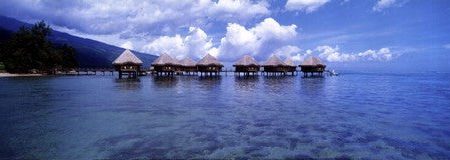 Tahitian Lagoon Online Hot Sale