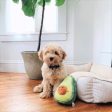 ZippyPaws NomNomz Avocado Plush Dog Toy Online