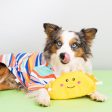 ZippyPaws NomNomz Taco Plush Dog Toy Cheap